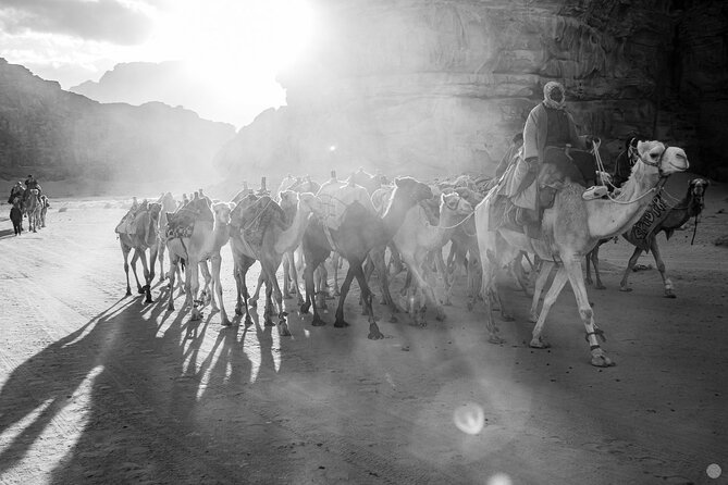 02 Days Petra , Wadi Rum and Dead Sea from Amman - The Dead Sea Float: Low Effort, High Payoff