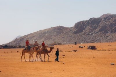 1 Day & 1 Night | Stay & Jeep + Camel Tour in Wadi Rum | Magic Bedouin Star - Camel, jeep, and hiking: how the day is paced