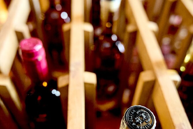 100% Caribbean Rum Tasting in Punta Cana. - Sugarcane to Solera: The Lesson Before the Pours