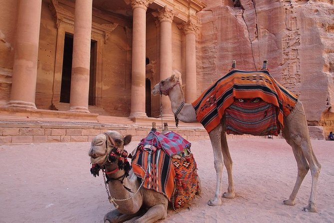2 Day 1 Night Wadi Rum (Overnight) & Petra Shore Excursion - Key Highlights to Know Before You Go