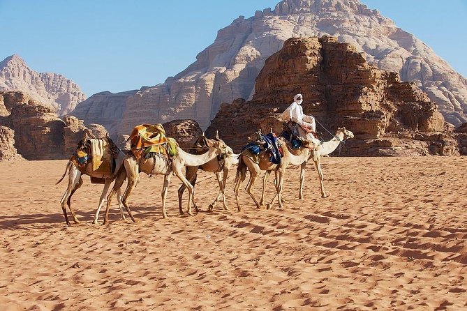 2 Day 1 Night Wadi Rum (Overnight) & Petra Shore Excursion - Price, What’s Included, and What You Should Still Budget For