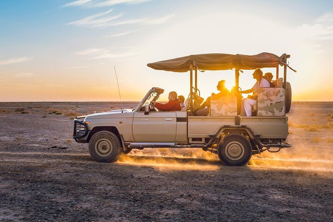 2-Day Private Tours in Jordan: Petra, Wadi Rum, and Dead Sea from Amman - Day 2: a short 4x4 Bedouin tour in the Wadi Rum Protected Area