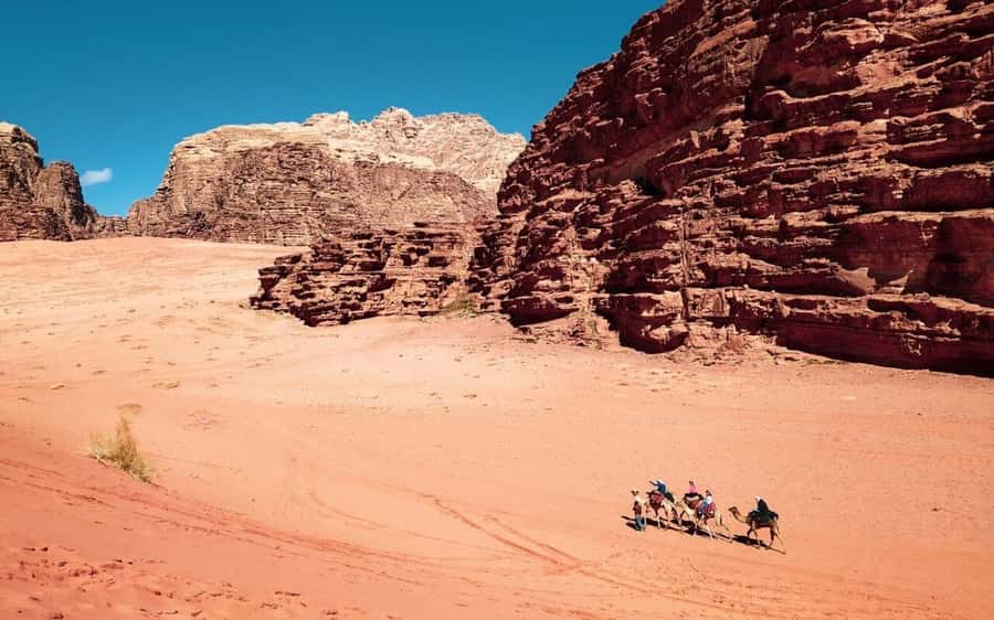 2-Day Tour from Amman to Petra, Wadi Rum, and Dead Sea - Leaving Petra for Wadi Rum: the moment the pace slows