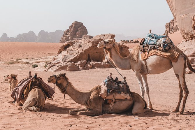 2 Days Tour | Petra, Wadi Rum & Dead Sea | Accommodation included - Sleeping in a Modern Desert Camp (Without Losing the Magic)
