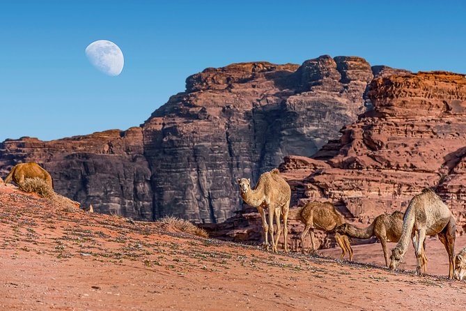 2-Night Private Jordan Secret Escape Tour: Petra, Wadi Rum, and Dead Sea - Wadi Rum by Jeep: canyons, dunes, and film locations