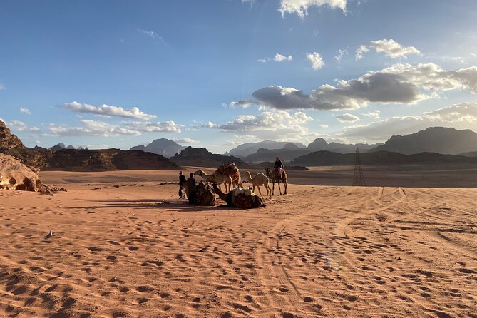 3-Day Group Tour to Petra, Wadi Rum and northern Jordan from Amman/Dead Sea - Day 2: Petra’s guided morning, your afternoon freedom, then a hotel near the site