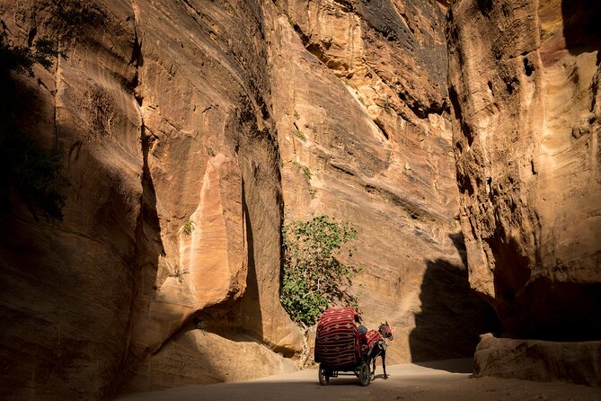 3-Day Petra and Wadi Rum Tour from Tel Aviv - Shobak Castle Views: Crusader-Era Fortress on a Hill