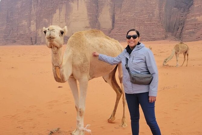 3-Day Tour from Amman: Jerash, Ajloun, Petra, Wadi Rum & Dead SEA - Price and value: what $661.97 really buys you