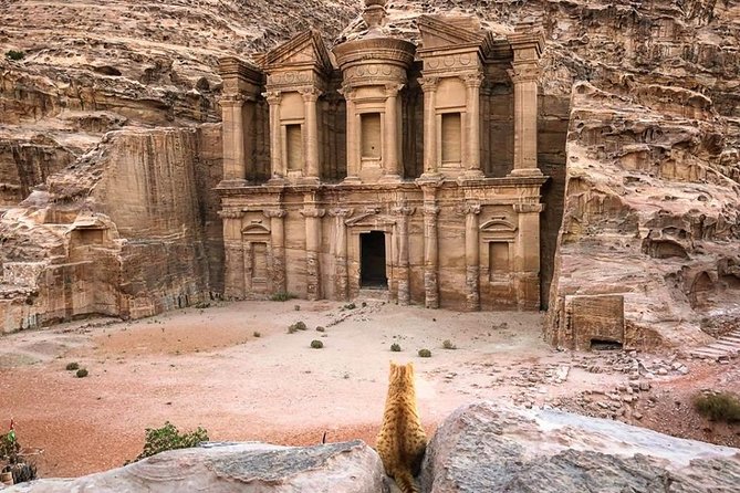 3Days Tour Petra & Wadi Rum from Amman, Dead Sea OR Amman Airport - The Desert Camp Night: Bedouin Dinner and Real Hospitality