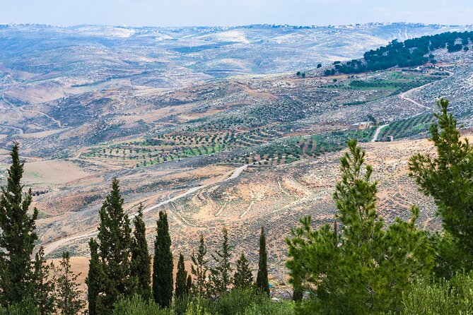 5-Day Private Tour to Amman Jerash Madaba Petra Wadi Rum Dead Sea - Madaba mosaic map and Mount Nebo: where the stories take location
