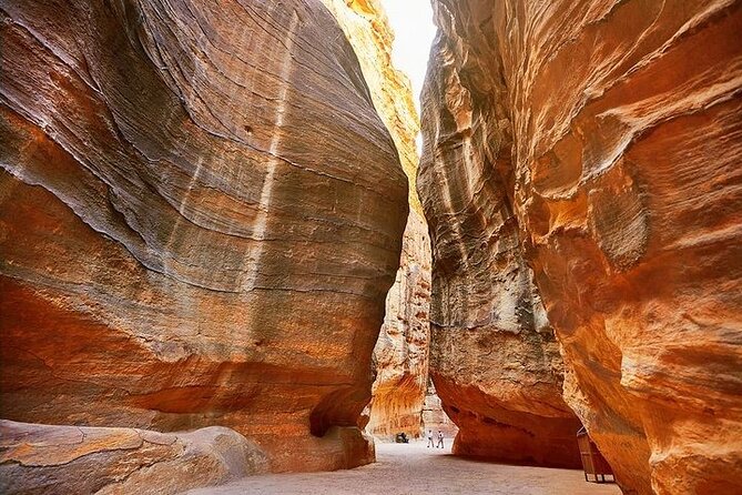 8 Days Jordan Tour: Petra, Wadi Rum, Aqaba - Wadi Rum Day 3: camel ride with you in the saddle