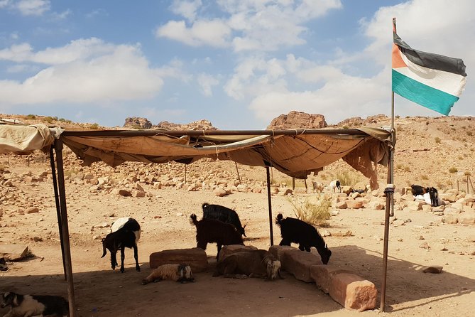 Amman and Aqaba airport lift to Petra and Wadi Rum - Ride comfort: AC vehicle, onboard WiFi, and private transport