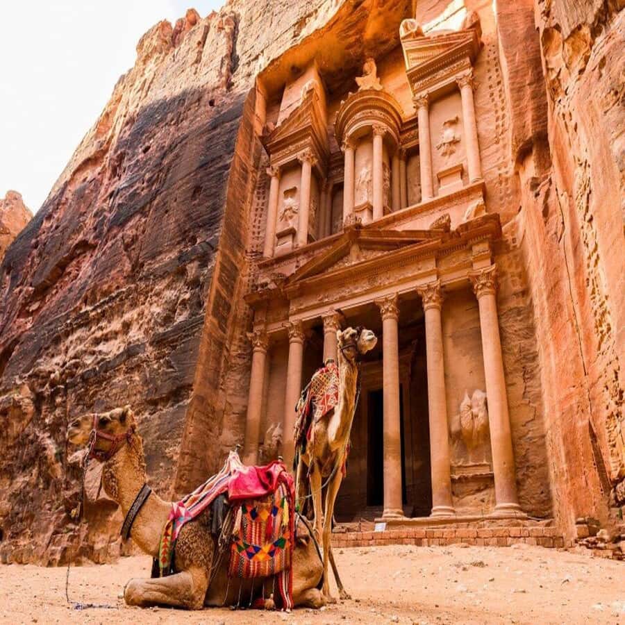 Amman Private Tour Petra Wadi Rum And Dead Sea 2day Bubble - Day 1: Amman to Petra’s Siq, Treasury, and monastery stops
