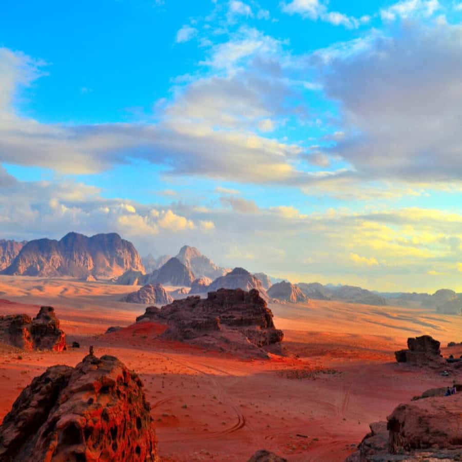 Amman Private Tour Petra Wadi Rum And Dead Sea 2day Bubble - Your guide and driver experience: why punctuality matters here