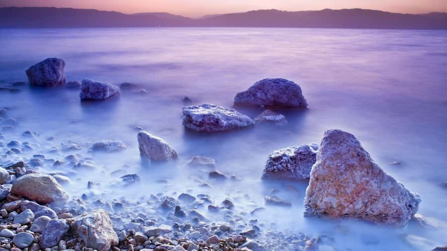 Amman to Petra Wadi Rum Dead Sea 2 or 3 Days Private Tour - Sunrise Camel Ride and Dead Sea Mud That You Can Actually Use