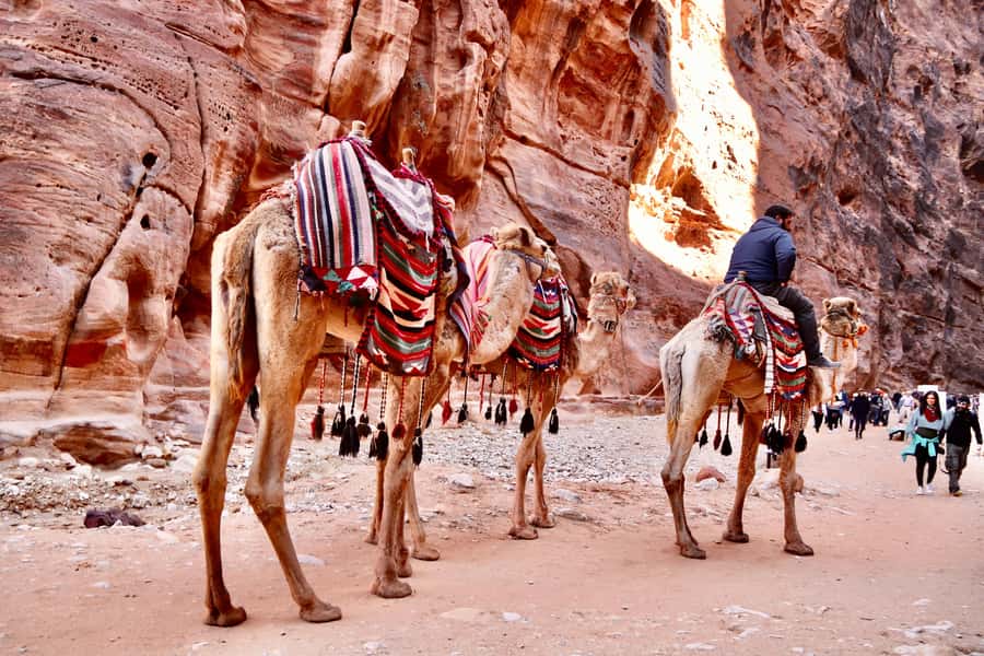 Amman to Petra Wadi Rum Dead Sea 2 or 3 Days Private Tour - Premium vs Essential: Where Your Money Really Goes