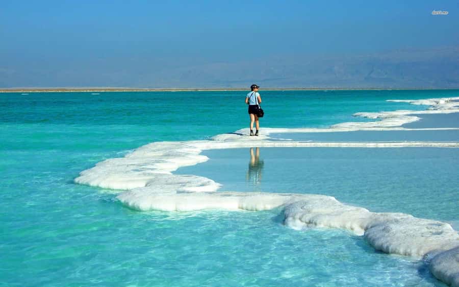 Amman to Petra Wadi Rum Dead Sea 2 or 3 Days Private Tour - FAQ