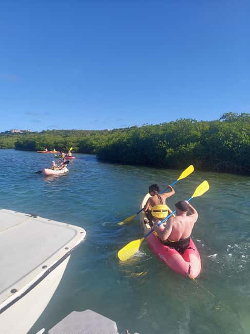Antigua: Drink Till Your Drunk Rum Drinking & Discovery Tour - Quick hits