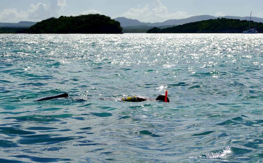 Antigua: Drink Till Your Drunk Rum Drinking & Discovery Tour - A rum-and-sights loop that actually feels like a day out