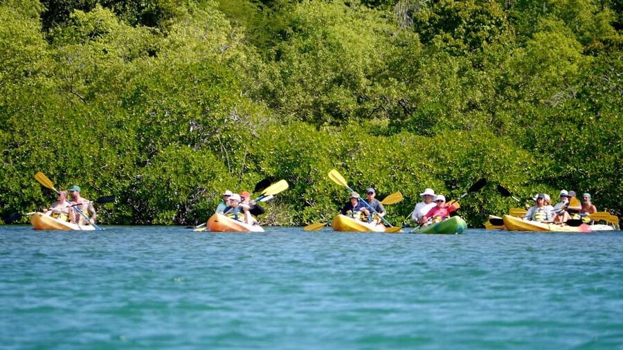 Antigua: Drink Till Your Drunk Rum Drinking & Discovery Tour - The first stop: St. John’s photo views for context