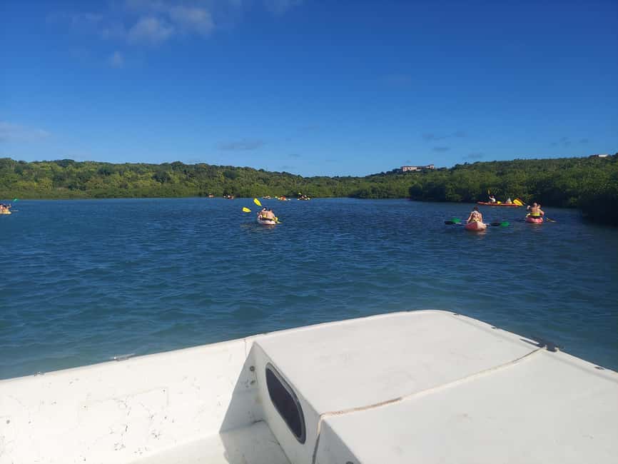 Antigua: Drink Till Your Drunk Rum Drinking & Discovery Tour - Betty’s Hope Sugar Plantation: why the rum story makes sense