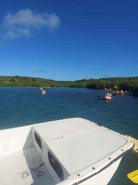 Antigua: Drink Till Your Drunk Rum Drinking & Discovery Tour - The rum tasting is the rhythm of the tour