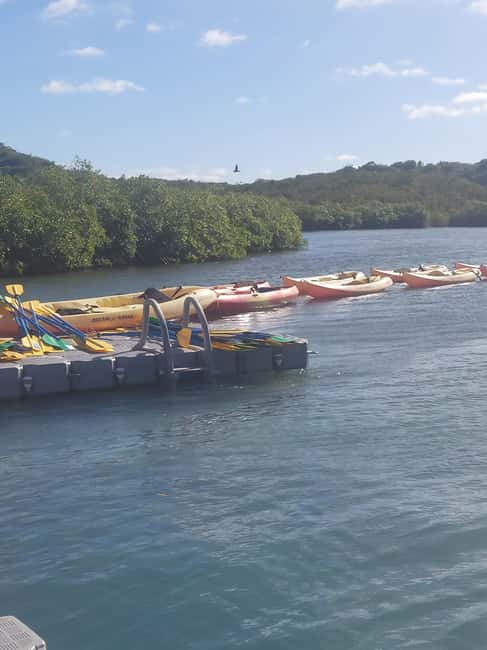 Antigua: Drink Till Your Drunk Rum Drinking & Discovery Tour - On-board Antiguan music and the guide vibe