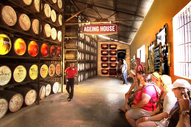 Appleton Estate Rum Factory And YS Falls Inclusive Tours From Montego Bay - Who should book this tour from Montego Bay?