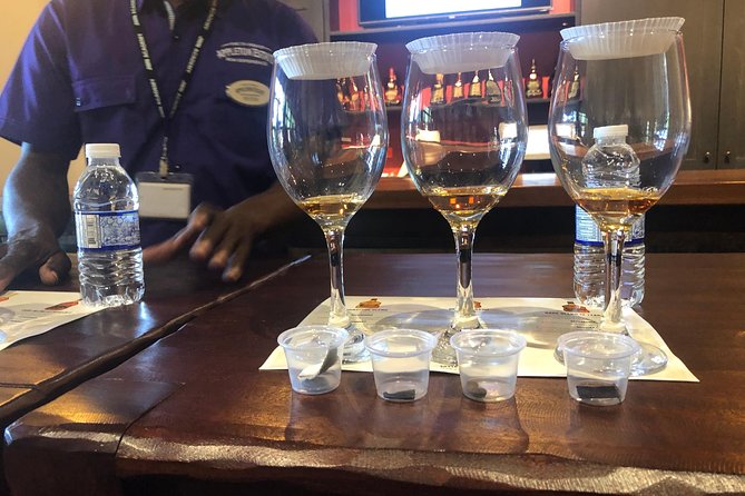 Appleton Estate Rum Tour - Who this tour suits best (and who might want a different plan)