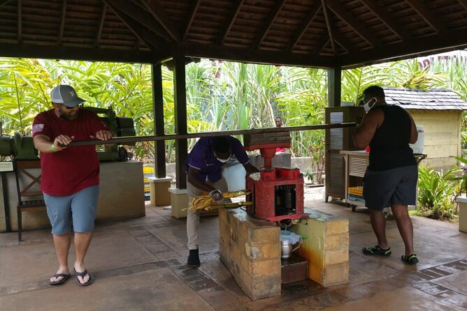 Appleton Estate Rum Tour and Pelican Bar Customize Tour - Why This South Coast Drive Feels Like Jamaica, Not Just a Stop List