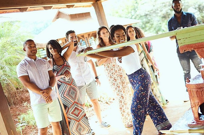 Appleton Estate Rum Tour and Tasting from Kingston - Rum tasting: turning a sip into something you can actually describe