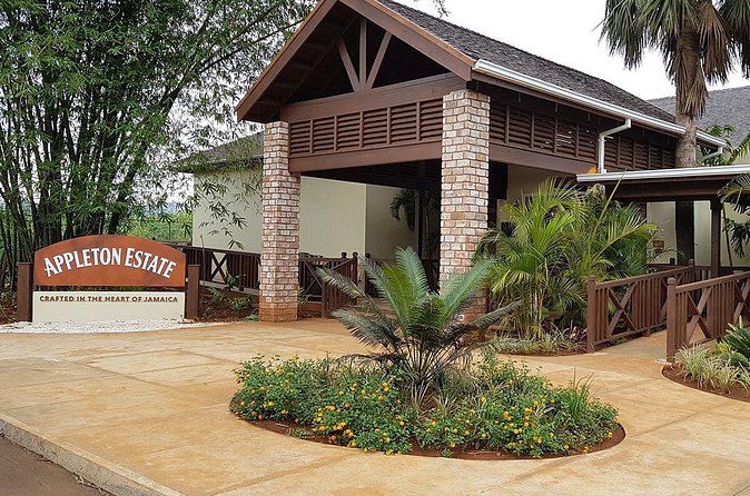 Appleton Estate Rum Tour and Tasting from Negril - Buying bottles at the estate: how to take home the right souvenirs