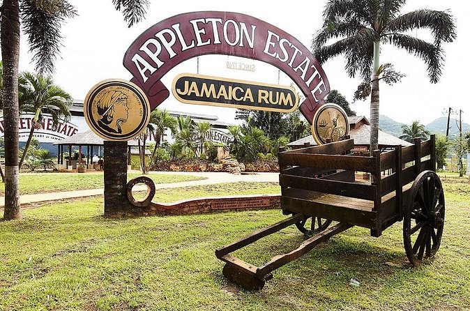 Appleton Estate Rum Tour and Tasting from Ocho Rios - Price and value: what you’re paying for at $232.20 per person