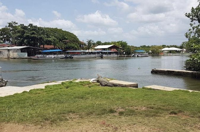 Appleton Estate Rum, YS Falls, Black River Safari / Floyd's Pelican Bar Tour - Appleton Estate Rum Experience: Rum History Without the Guesswork