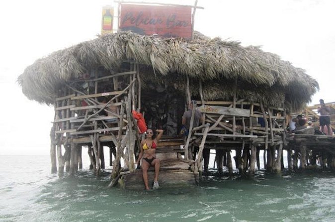 Appleton Estate Rum, YS Falls, Black River Safari / Floyd's Pelican Bar Tour - Black River Safari on J. Charles Swaby’s Boat: Wildlife Time on Jamaica’s Longest Navigable River