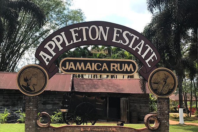 Appleton Rum Factory, YS Falls, and Reggae Horseback Ride & Swim Combo Tour - Key things to know before you go