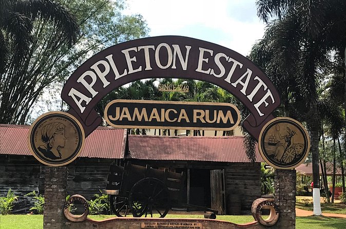Appleton Rum Factory, YS Falls, and Reggae Horseback Ride & Swim Combo Tour - Door-to-door pickup and the 7:00 am start from Negril