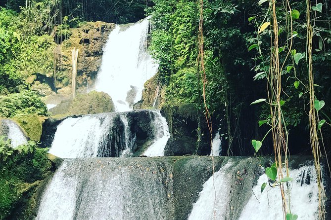 Appleton Rum Factory, Ys Falls, Black River Safari, Floyd’s Pelican Bar - Black River Safari Cruise: Wildlife and River Communities