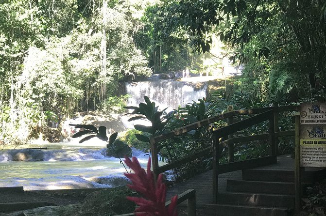 Appleton Rum Factory, Ys Falls, Black River Safari, Floyd’s Pelican Bar - Lunch and In-Tour Convenience: The Hidden Value of This Price