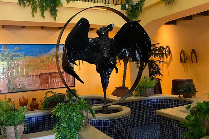 Bacardi Rum Distillery and Old San Juan Tour - Old San Juan historical tour: compact, guided, and focused