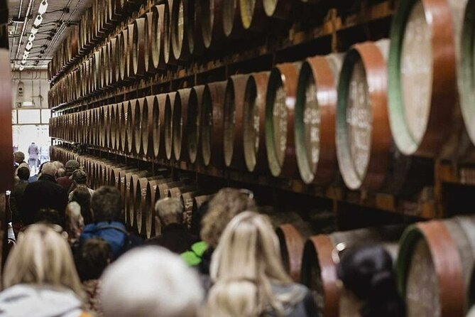 Banana Museum, Rum Distillery & Winery guided tour with tasting - Agaete lunch stop: use the hour wisely