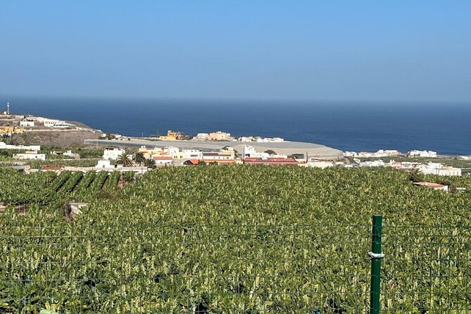 Banana Museum, Rum Distillery & Winery with Tasting: Premium tour - How the 5–6 Hour Circuit Works (Pickup, Timing, and Group Size)