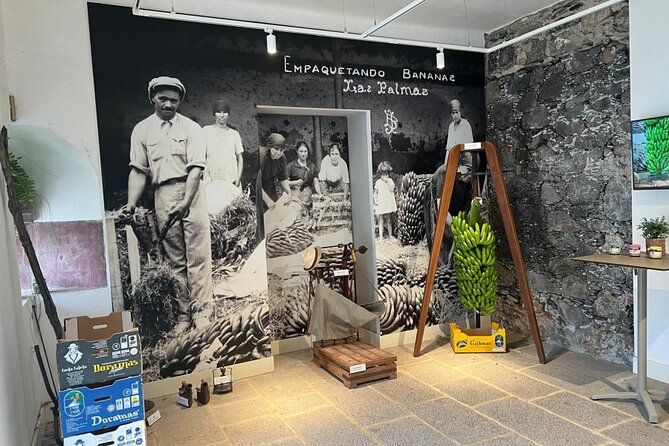 Banana Museum, Rum Distillery & Winery with Tasting: Premium tour - Bodega Los Berrazales: Grapes, Wine, and Coffee in One Stop