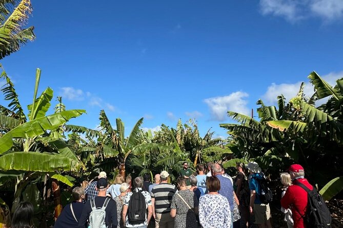 Banana Museum, Rum Distillery & Winery with Tasting: Premium tour - Mojo Sauce Workshop: The Hands-On Finale