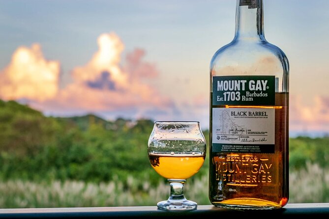 Barbados Highlights and Rum Tour - Bridgetown to the East Coast: Why the Stops Matter (Not Just the Photos)