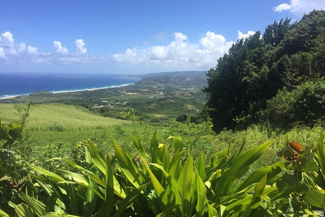Barbados Highlights and Rum Tour - St. John’s Church, Gun Hill, and the Garrison Savannah UNESCO Site