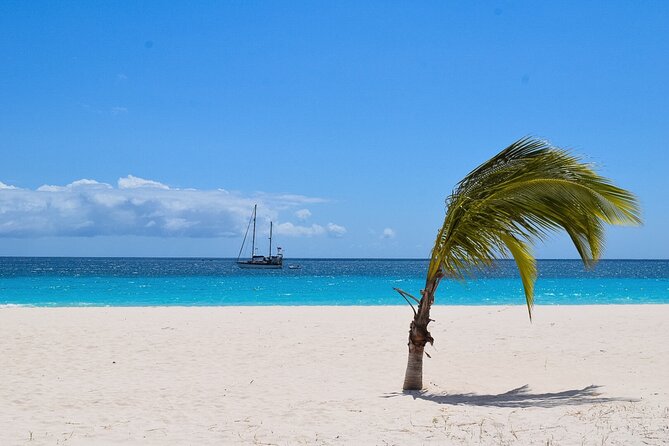 Barbados Highlights and Rum Tour - SAVVY on the Bay Lunch: Where the Pace Feels Human Again
