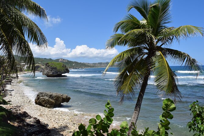 Barbados Highlights and Rum Tour - Mount Gay Visitor Centre Rum Tour: What You Really Get for Your Money