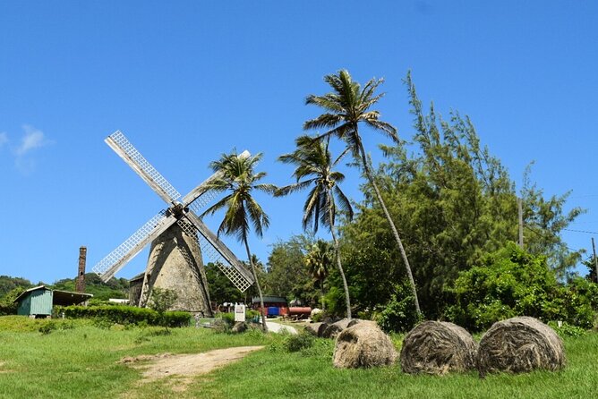 Barbados Highlights and Rum Tour - Cherry Tree Hill and Bathsheba: The Views Are Better When You Know What You’re Seeing