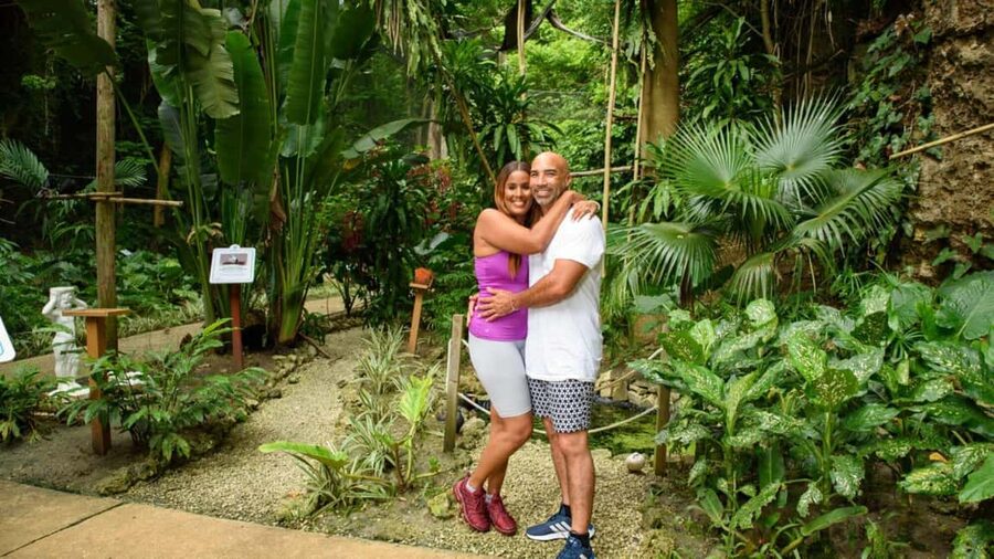 Barbados: Trail, Tram & Rum Experience - Lunch at Green Monkey Pool: a poolside reset in the middle of the day